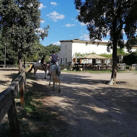 Casa Rural, Can Cirera Seriñá エクステリア 写真