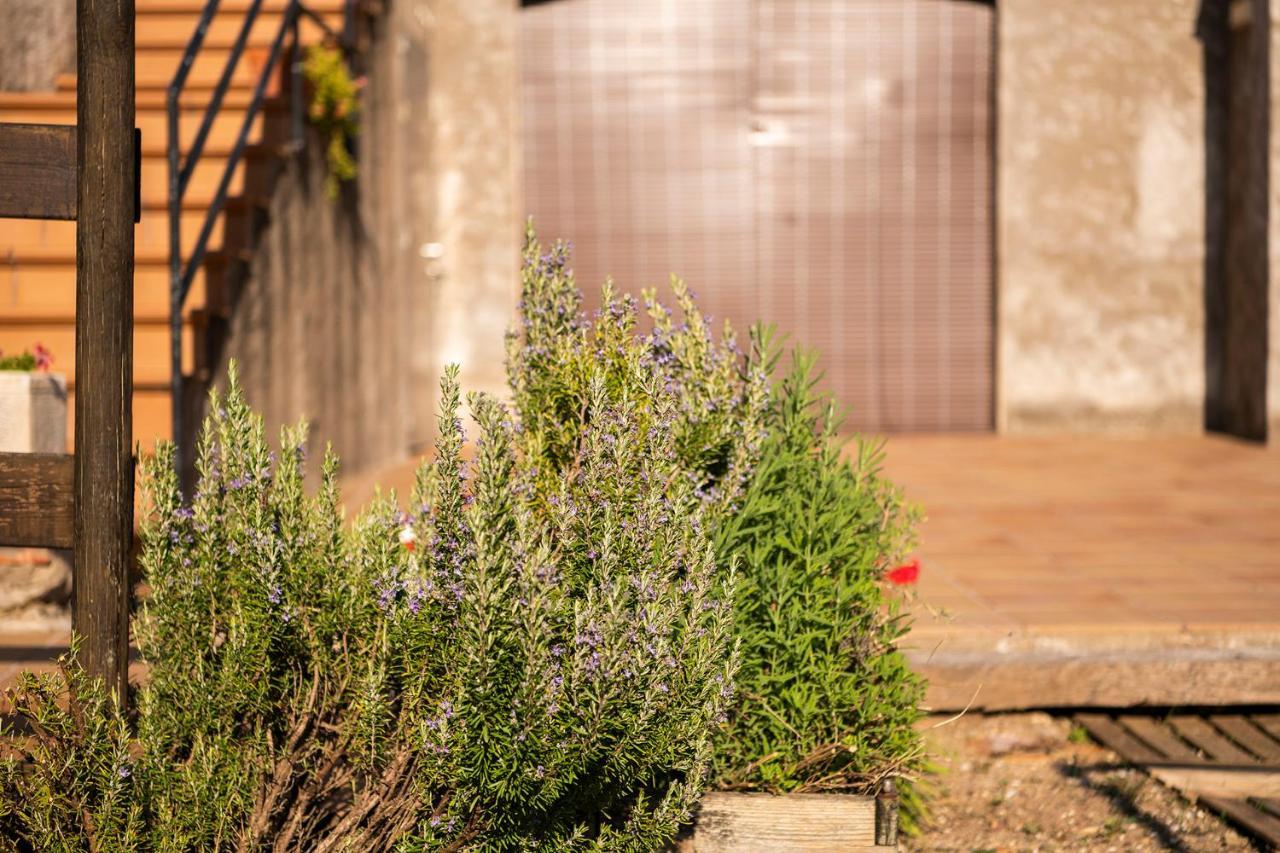Casa Rural, Can Cirera Seriñá エクステリア 写真