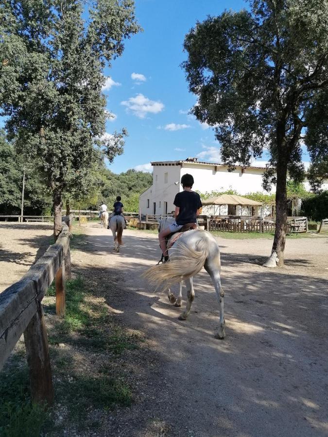 Casa Rural, Can Cirera Seriñá エクステリア 写真